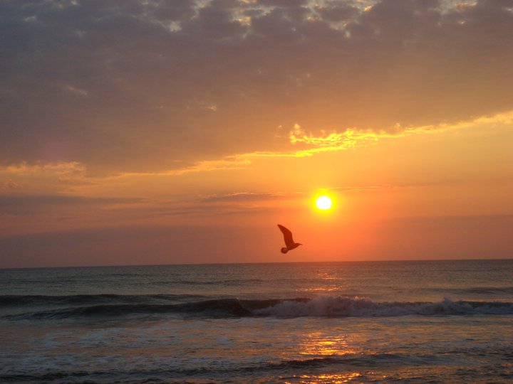 For all the aching souls