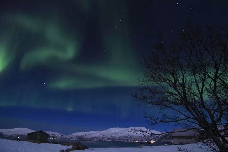 Trine - friluftsenter - northern lights