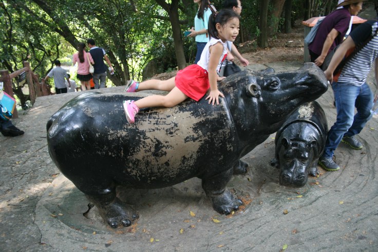 Chinese girl on a imitation of a hippo