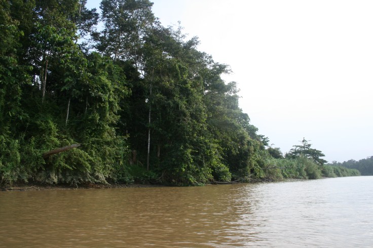 Kinabatangan River in Sabbah