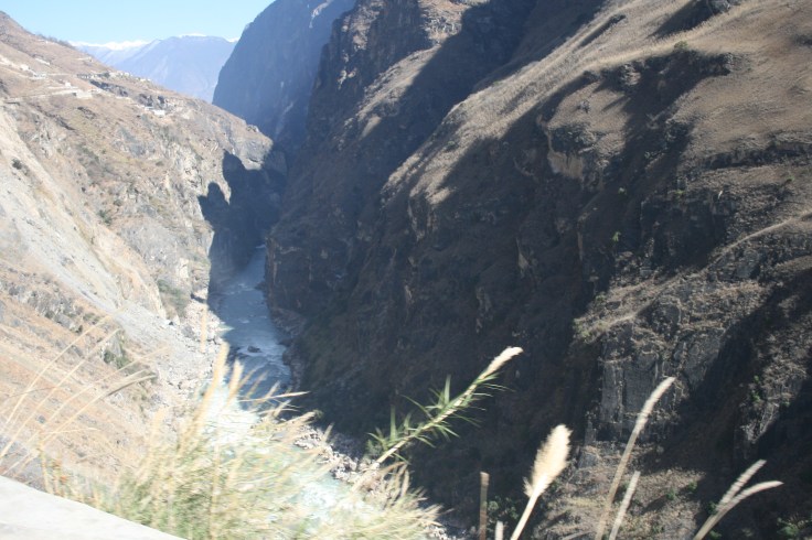 No tigers, lots of leaping