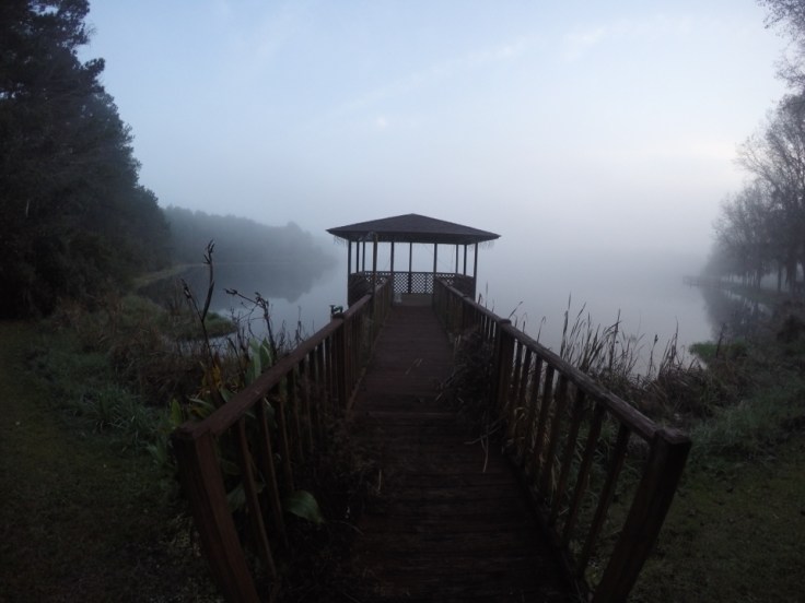 Home is where the heart is, in Georgia!