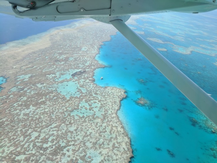 Great Barrier Reef, window view from above