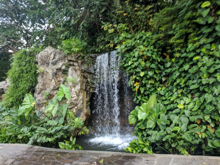 Botanic garden waterfall