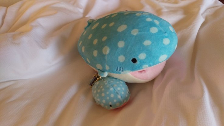 Sings, the whale and bundle, his companion Sings, the whale and bundle, his companion