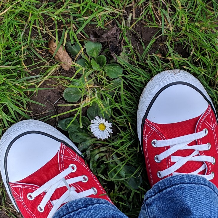 IMG_20190324_135231_630