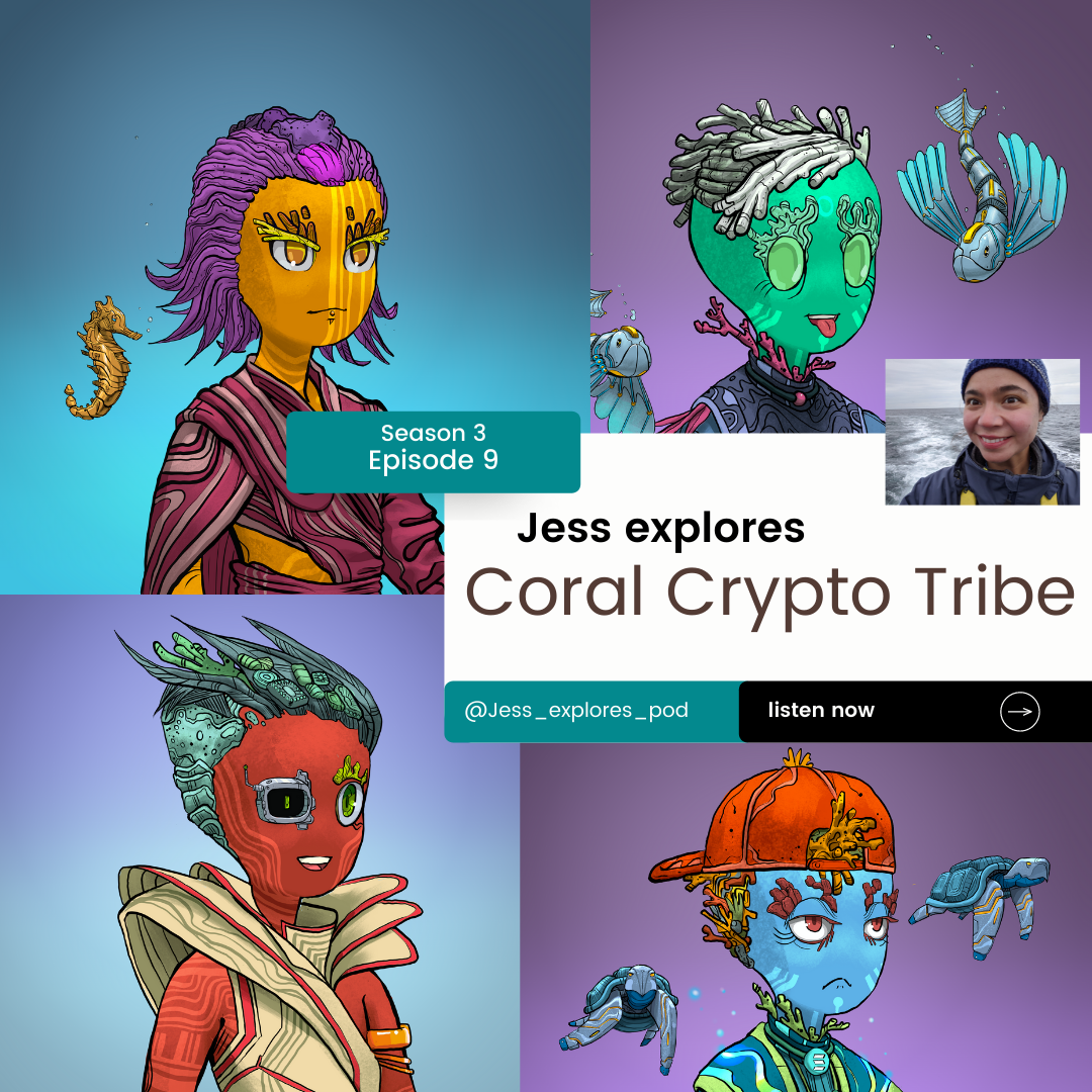 Jess Explores – Crypto Coral Tribe (S3 E9) – A bird loves a fish